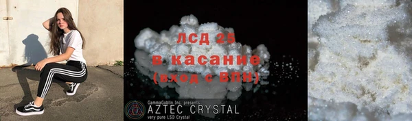 PSILOCYBIN Алзамай