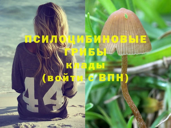 PSILOCYBIN Алзамай