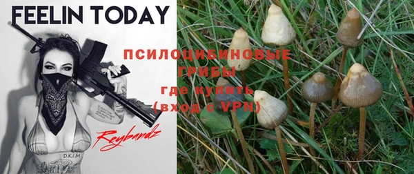 PSILOCYBIN Алзамай