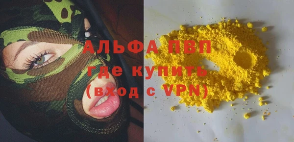 стафф Алексин