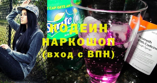 PSILOCYBIN Алзамай