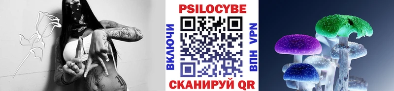 как найти   Гаджиево  Галлюциногенные грибы GOLDEN TEACHER 