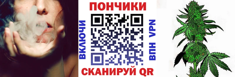 Каннабис семена  Гаджиево 
